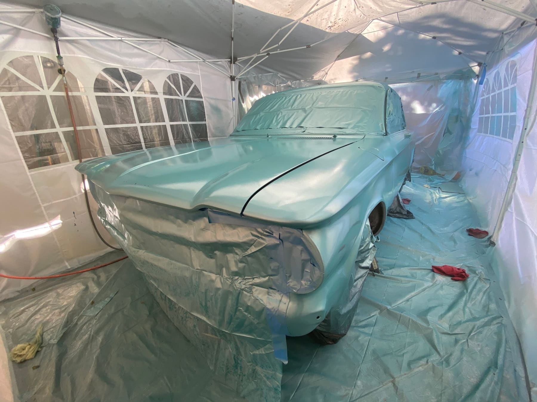 Painting the body